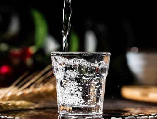 酒桌上備受歡迎的三款中檔糧食酒，約60元價(jià)位，口感回味無窮